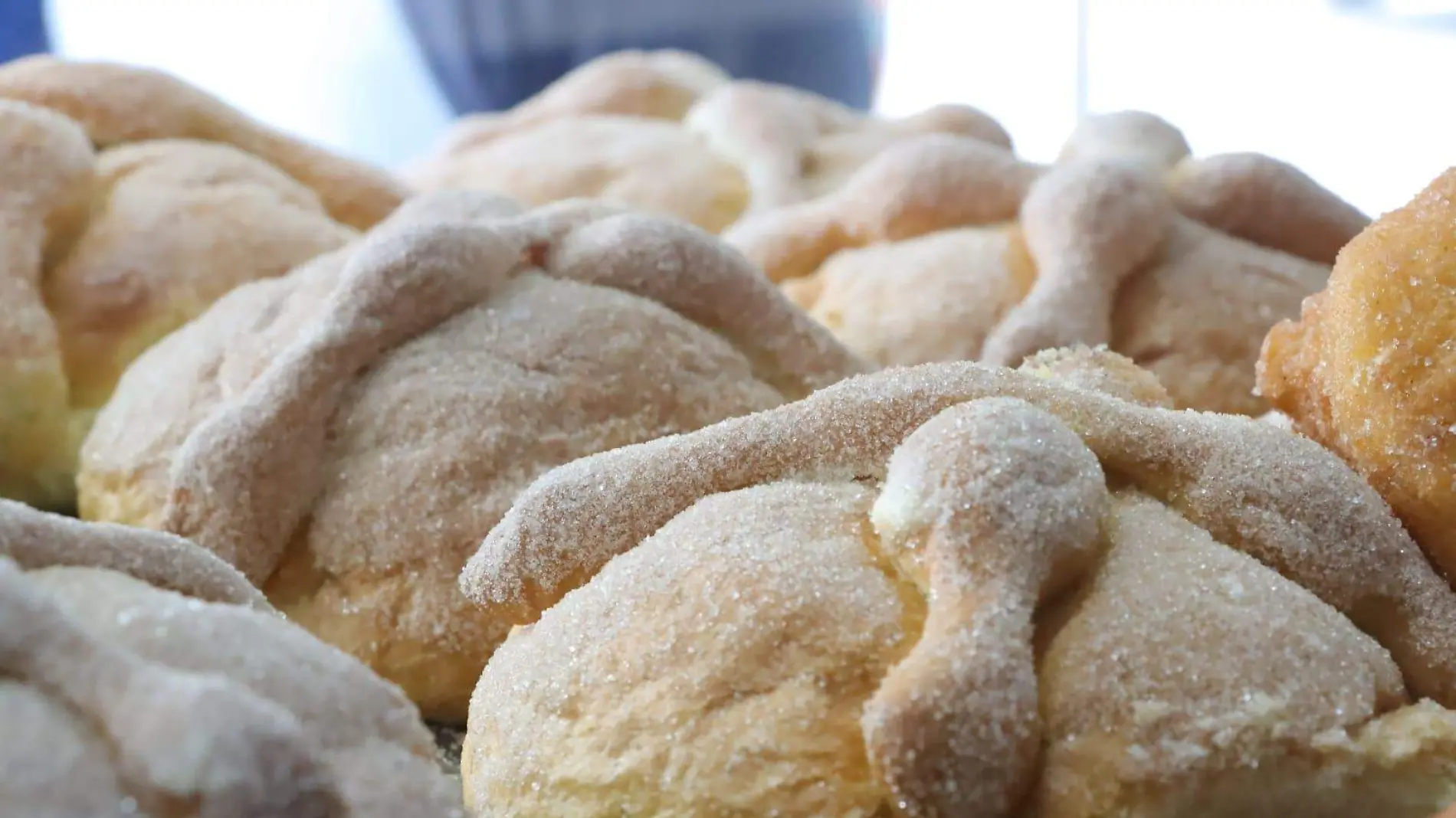 pan de muerto panadería CR (1)